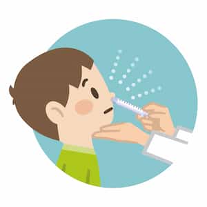 フルミストのイメージ